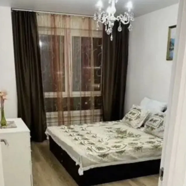 Фото 4 из 5