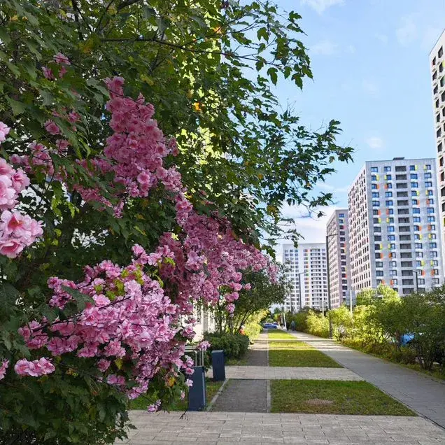 Студия · 23,2 м² · 2/9