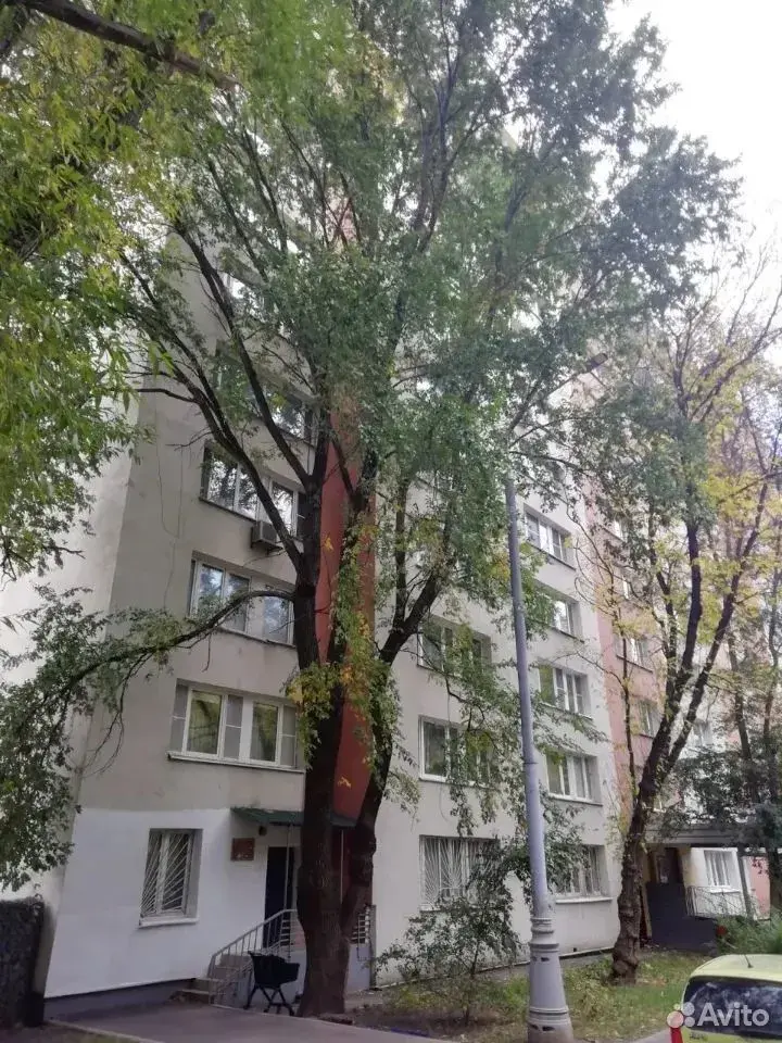 Студия · 350 м² · 3/12