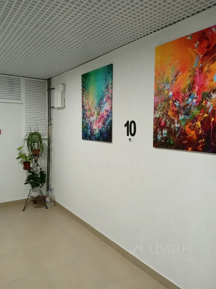Фото 5 из 5