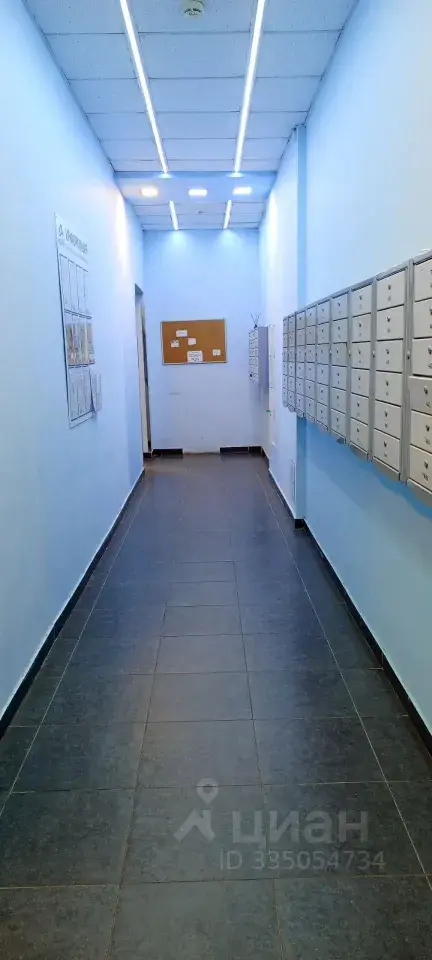 Фото 4 из 5