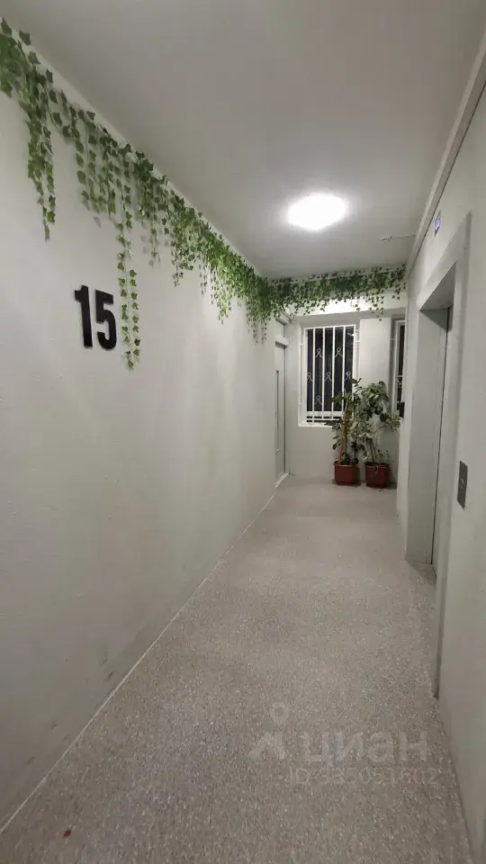 Фото 2 из 5