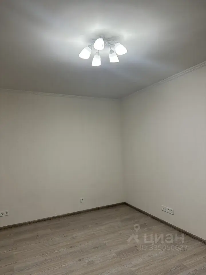 Фото 3 из 5