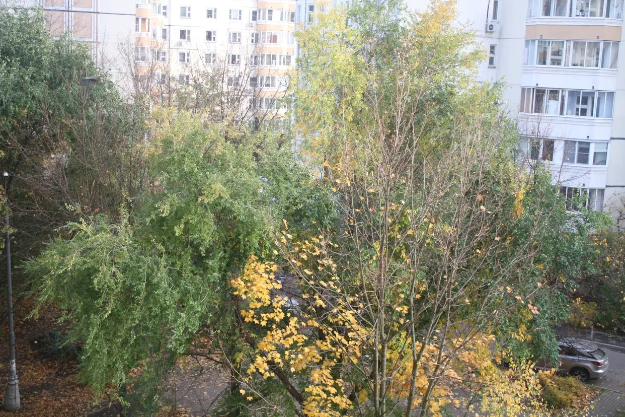 1-к · 35,6 м² · 5/17