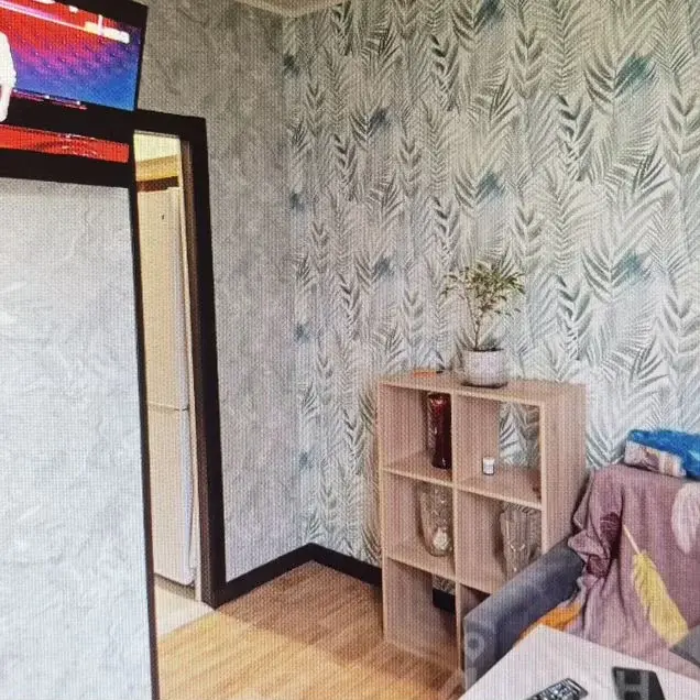 Фото 3 из 5
