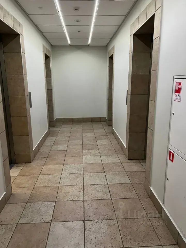 Фото 4 из 5