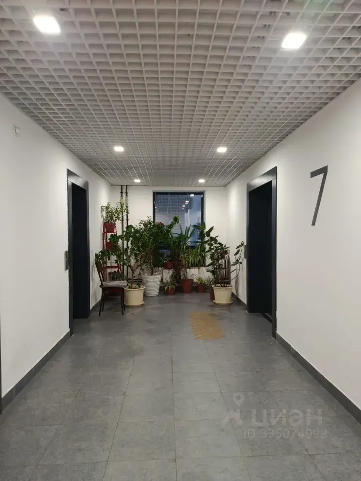 Фото 2 из 5
