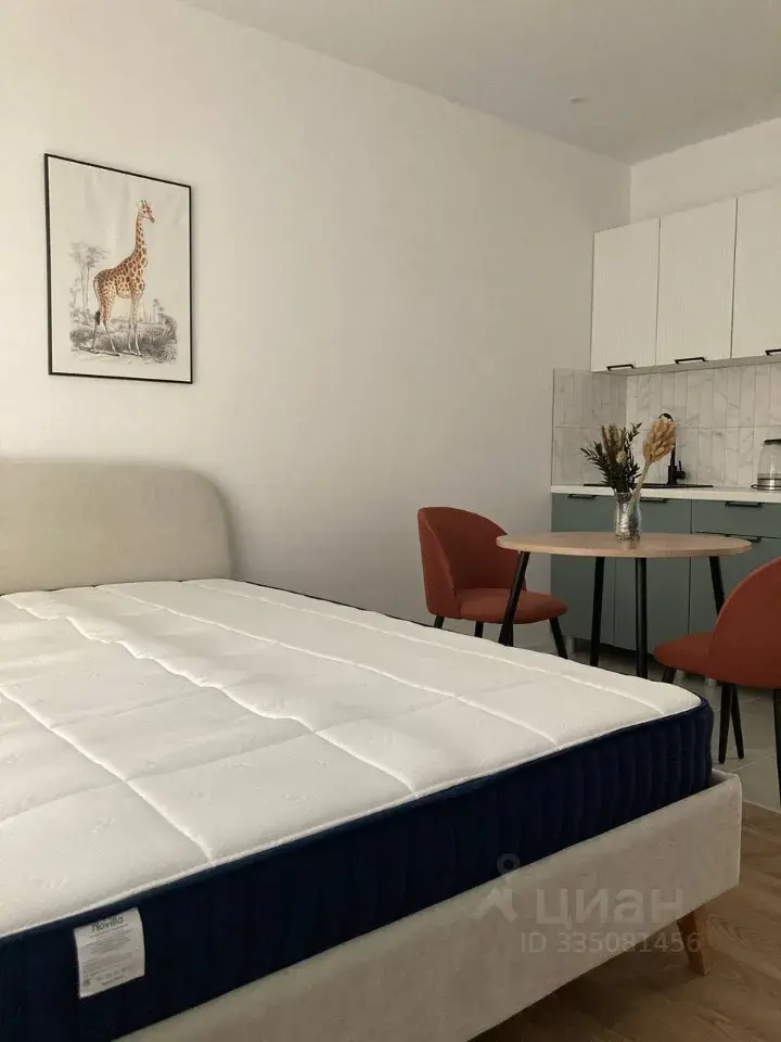 Студия · 20 м² · 20/33