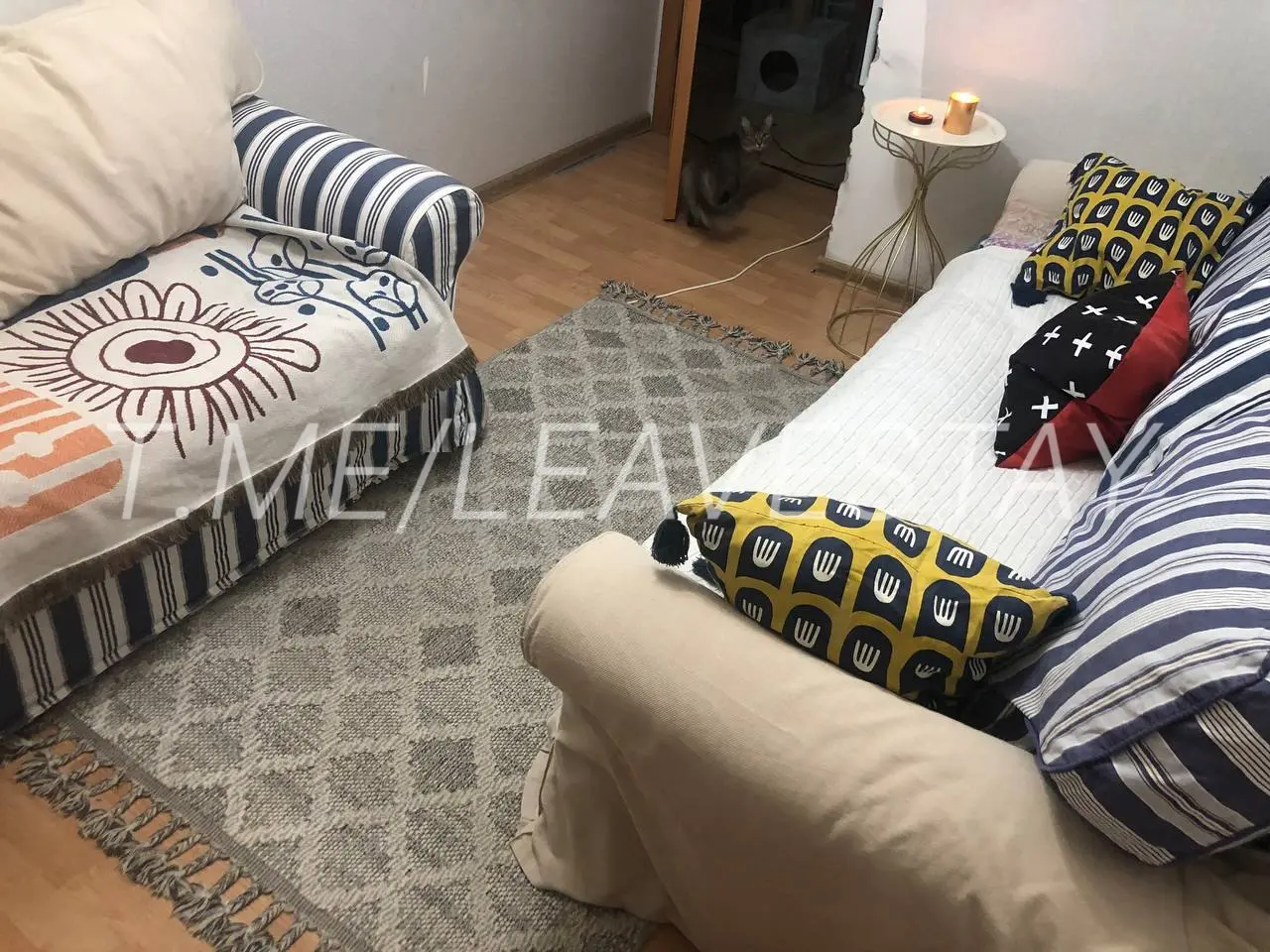 Фото 3 из 5