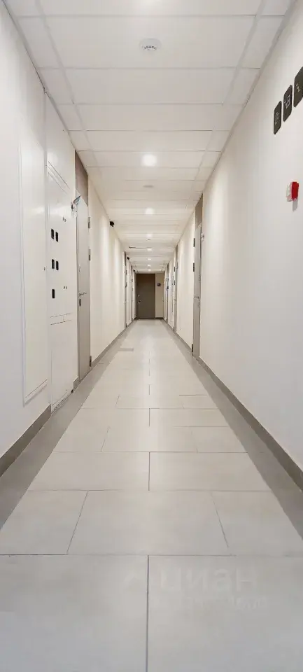 Фото 3 из 5